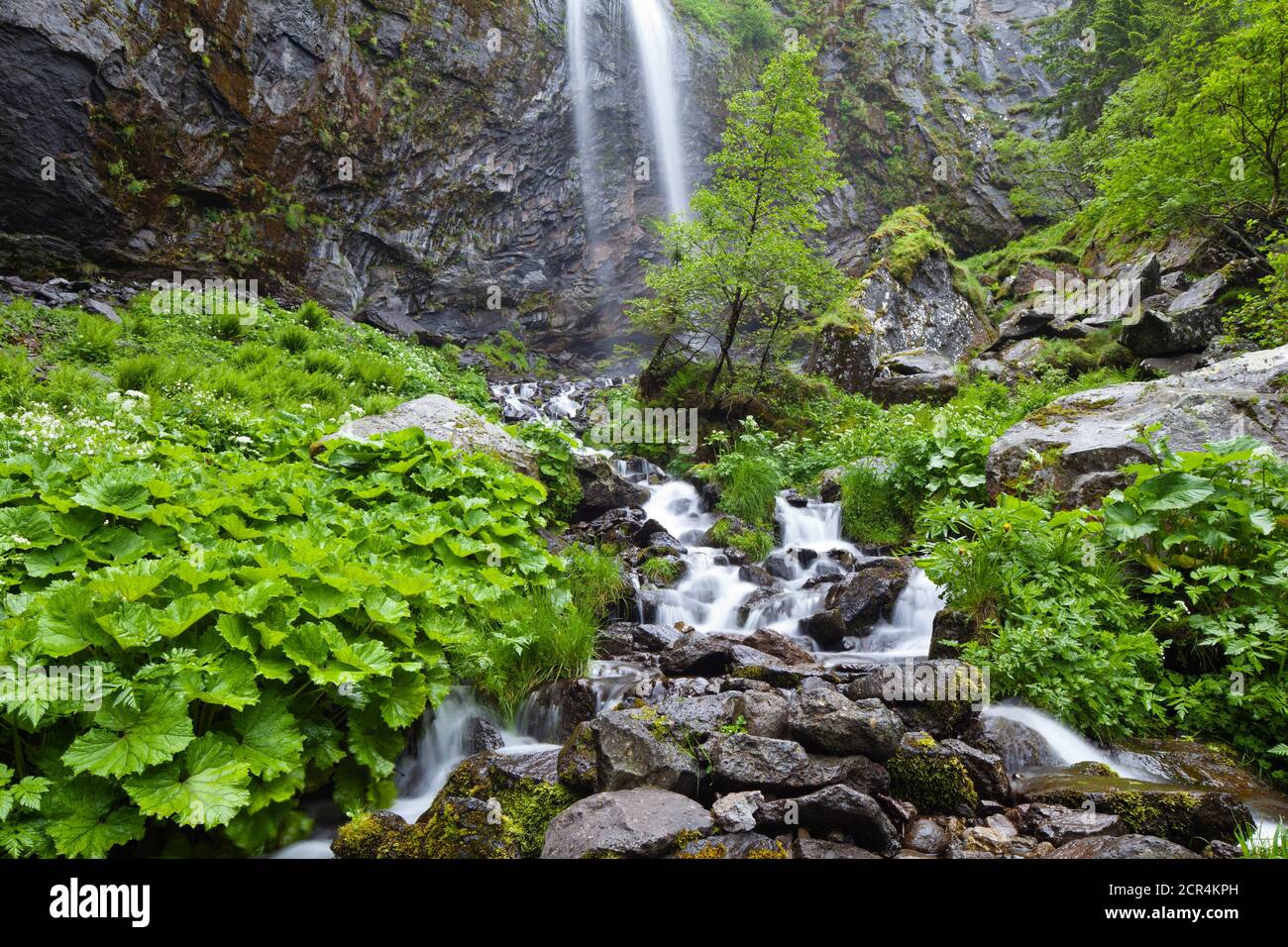 Des pousses de verdure luxuriantes autour de la Grand Cascade dans le massif central français. Sur les pentes abruptes des plus hautes montagnes (Puy Sancy) l'eau se dégringole Banque D'Images