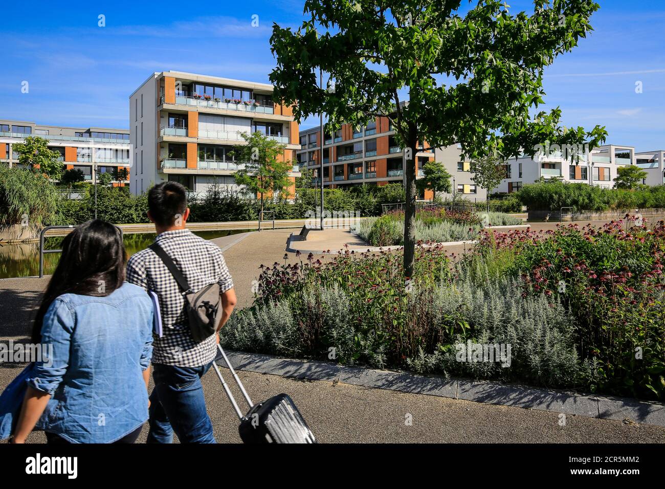 Essen, Rhénanie-du-Nord-Westphalie, région de la Ruhr, Allemagne, Gruene Mitte Essen, projet de développement urbain dans le quartier universitaire, au centre-ville du nord Banque D'Images