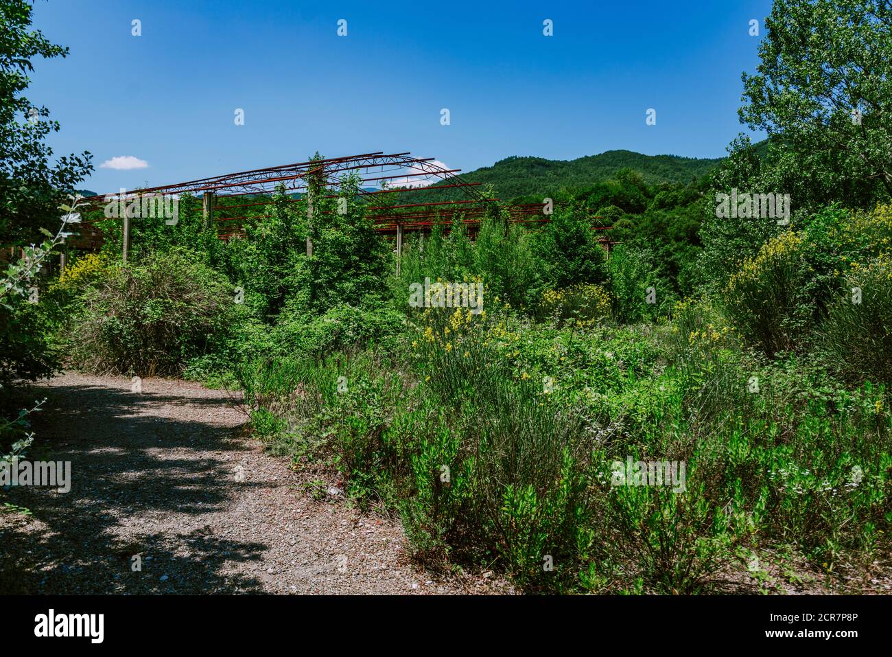 Europe, Italie, Toscane, Thermes, thermal Spring, hotspring, Bagni San Filippo, Castiglione d'Orcia Banque D'Images