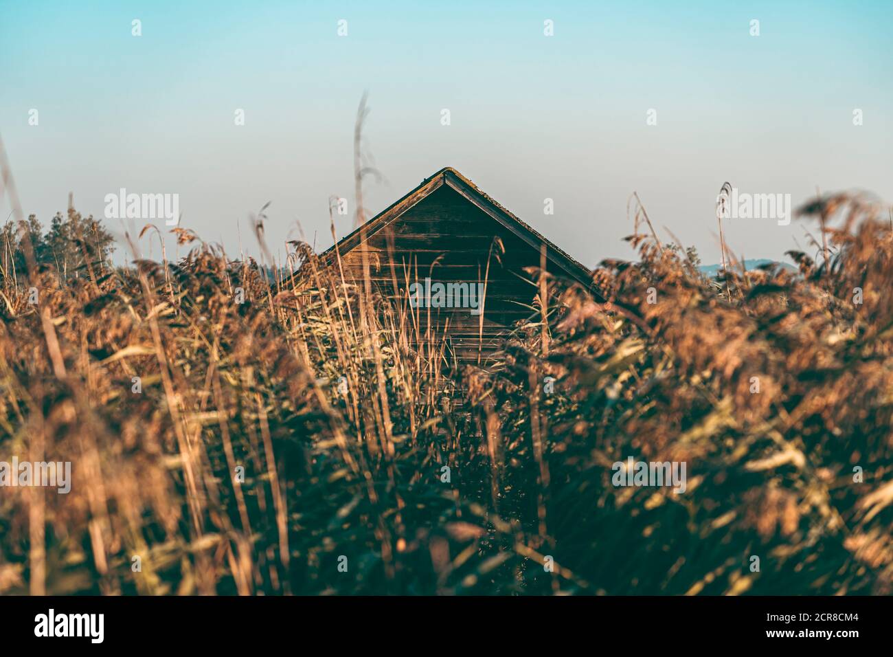 Federsee, Boathouse, Bad Buchau, haute-Swabia, Bade-Wurtemberg, Allemagne, Europe Banque D'Images