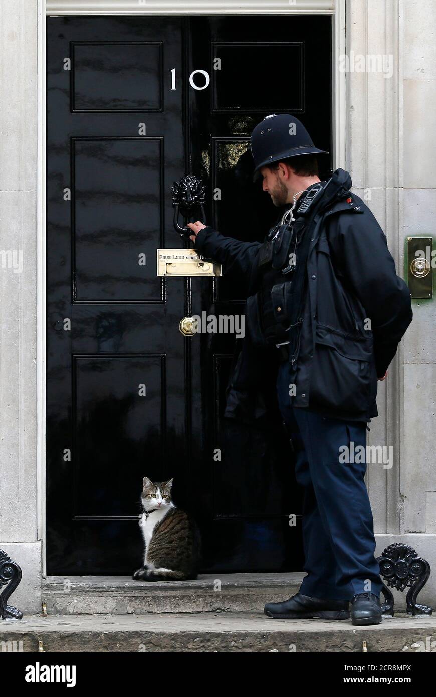 Un policier frappe sur la porte pour permettre à Larry le chat de revenir  dans 10 Downing Street à Londres, Grande-Bretagne, le 9 mai 2015.  REUTERS/Stefan Wermuth Photo Stock - Alamy