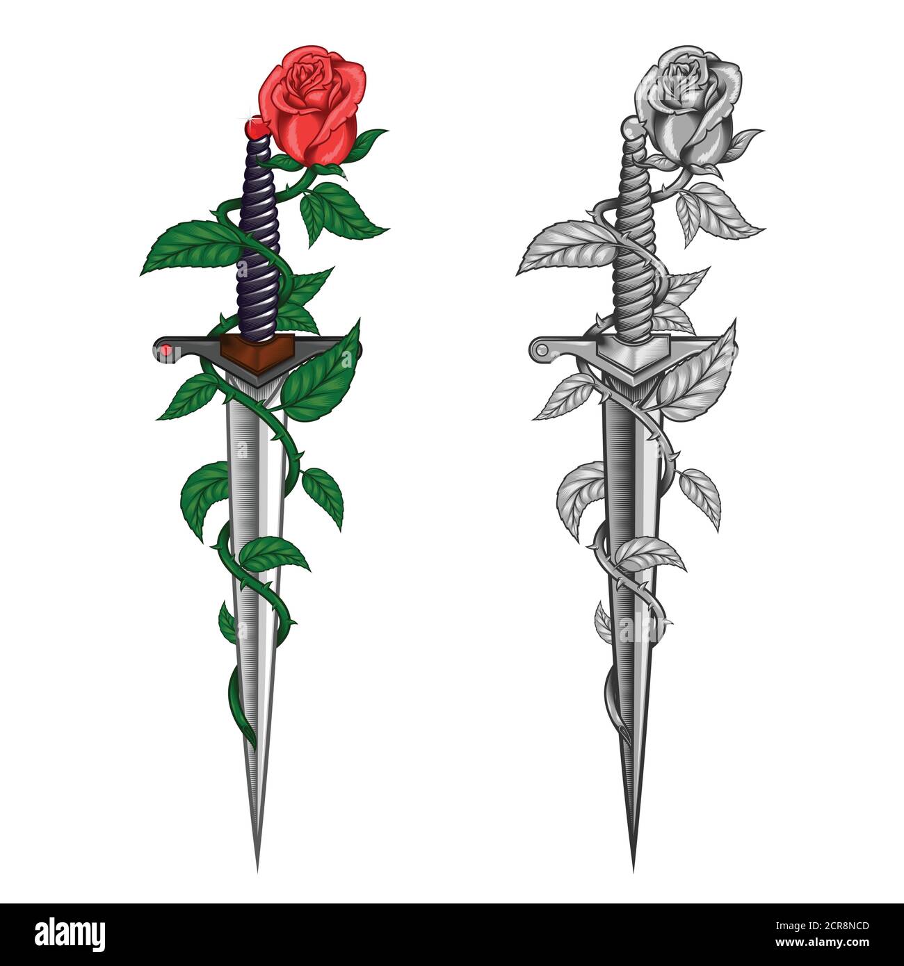 motif rose vectoriel avec des épines enveloppant un poignard, une couleur vectorielle et des niveaux de gris Illustration de Vecteur