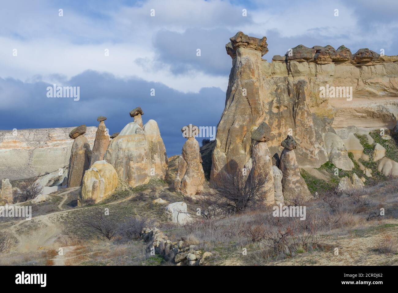 Champignons de roche dans les environs de Göreme un jour de janvier. Cappadoce, Turquie Banque D'Images