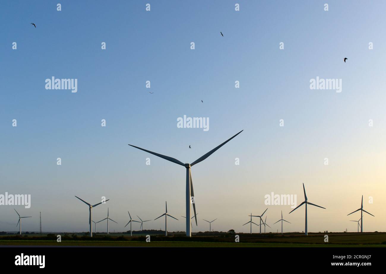 Éoliennes au parc éolien Burton Wold South, Burton Latimer, Northamptonshire, énergie renouvelable, production d'électricité à empreinte carbone nulle. Banque D'Images