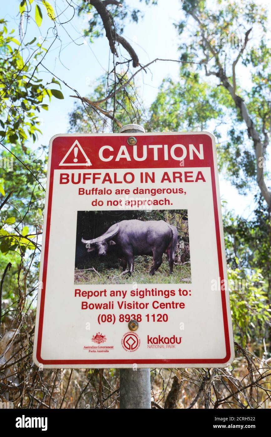 Avertissement de sécurité contre les buffles sauvages, territoire du Nord, territoire du Nord, Australie Banque D'Images