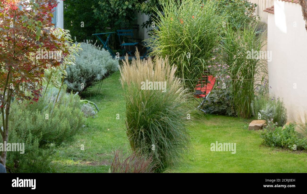 Endroit calme avec des plantes vertes pour se détendre Banque D'Images