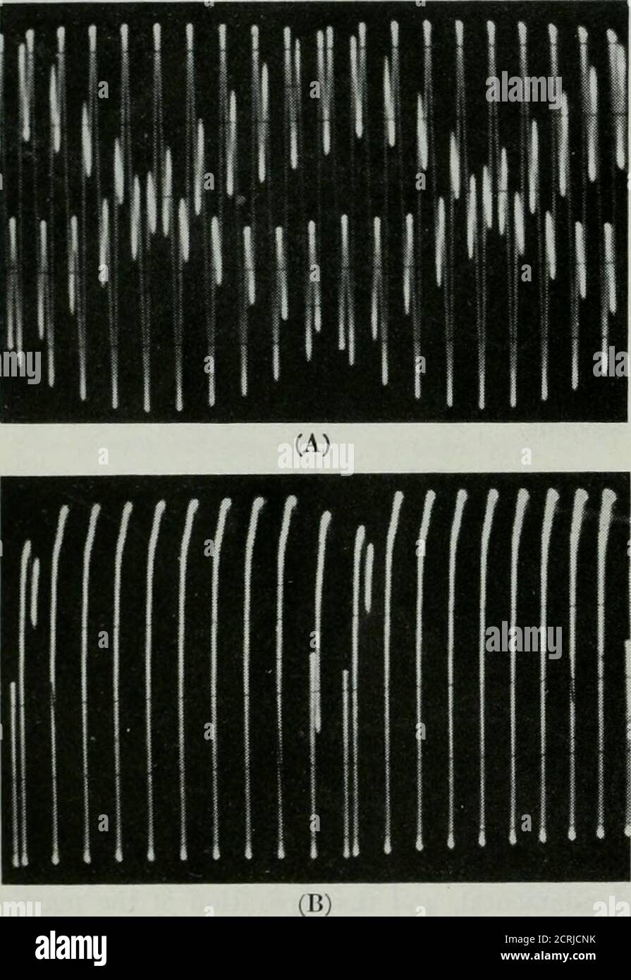 . QST . l'onde de montage et l'onde de tension de sortie de juillet 1955 23 lorsque le circuit a été ajusté pour une séparation de 10 kc. Des marqueurs. Remarque : le rapport de fréquence de la Fig. 3A est clairement 31à 10. Le réglage de ci ou C2 est critique parce que la fréquence du circuit réglé doit être dans quelques centaines de cycles de 310 kc.On a trouvé qu'il est conseillé)le d'utiliser un folliserbuffer cathodique après le circuit de l'oscillateur pour éviter le détuning quand nous avons changé de charges. Il est également essentiel de régler le funda-mental à exactement 100 kc., car le circuit LC tire le cristal a littleet il est nécessaire de l'rea Banque D'Images
