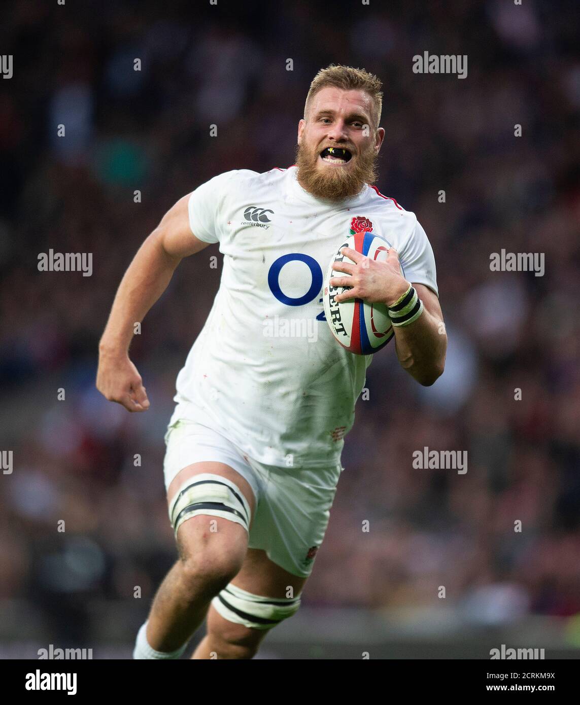 Brad Shields d'Angleterre. Angleterre contre Italie. Six Nations. Photo : © Mark pain / Alamy Banque D'Images