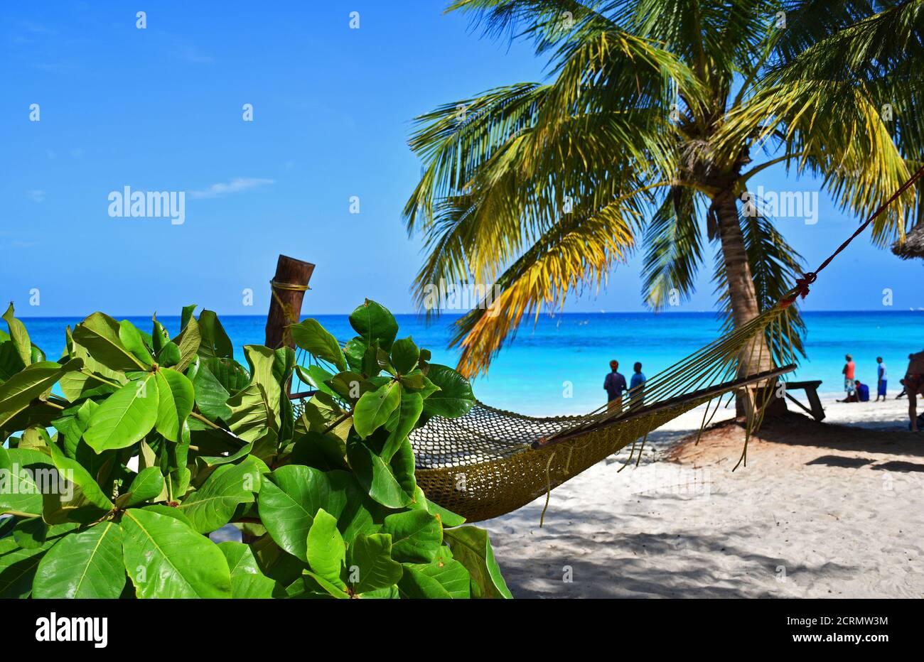 Kendwa Beach sur l'île de Zanzibar Banque D'Images