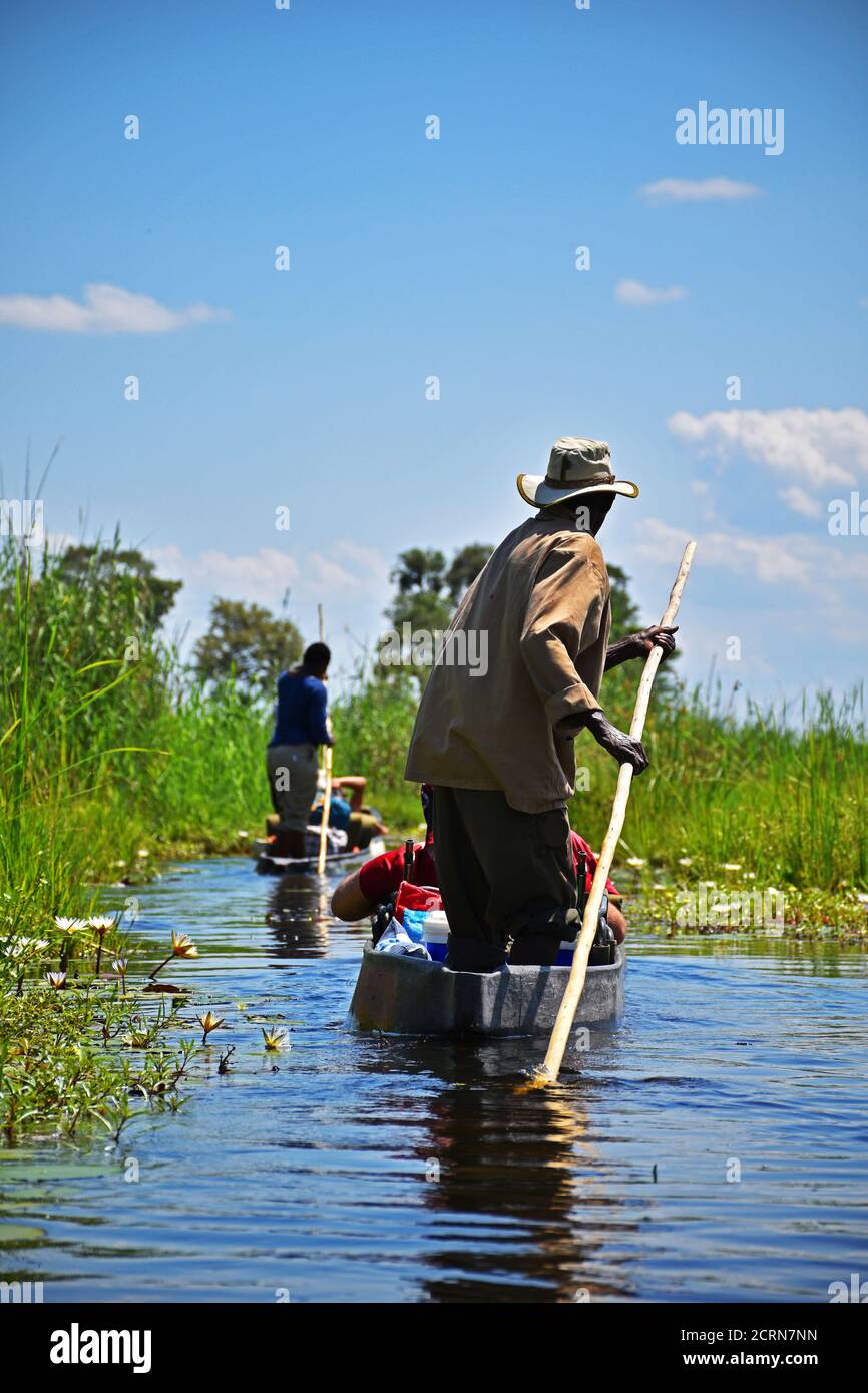 Le delta de l'Okavango au Botswana Banque D'Images
