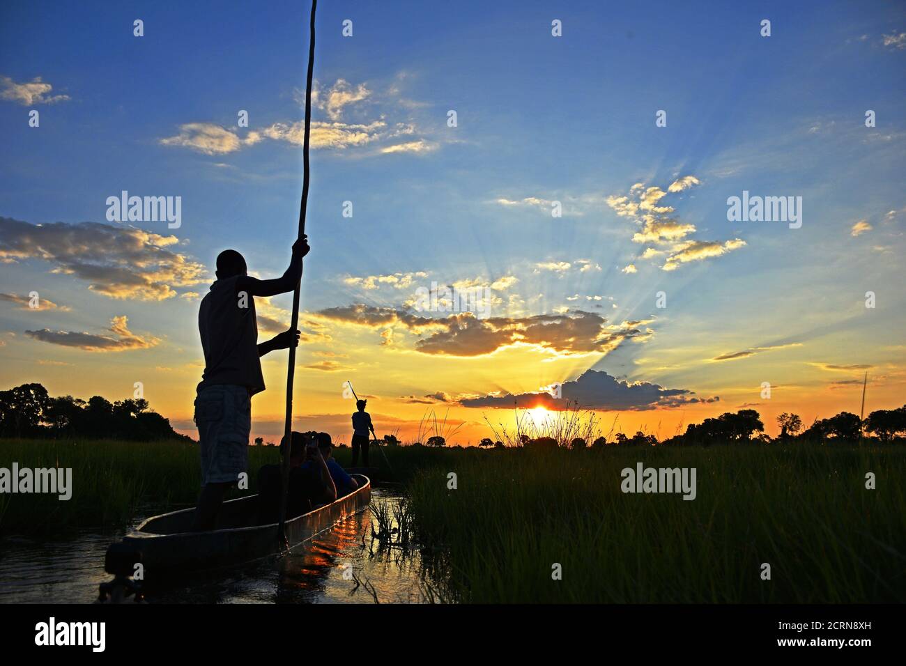 Magnifique coucher de soleil dans le delta d'Okavango Banque D'Images