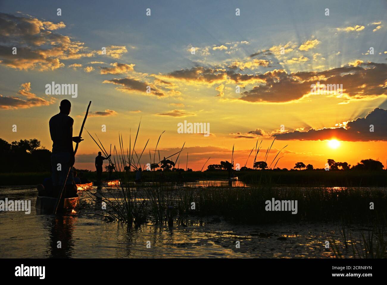 Magnifique coucher de soleil dans le delta d'Okavango Banque D'Images