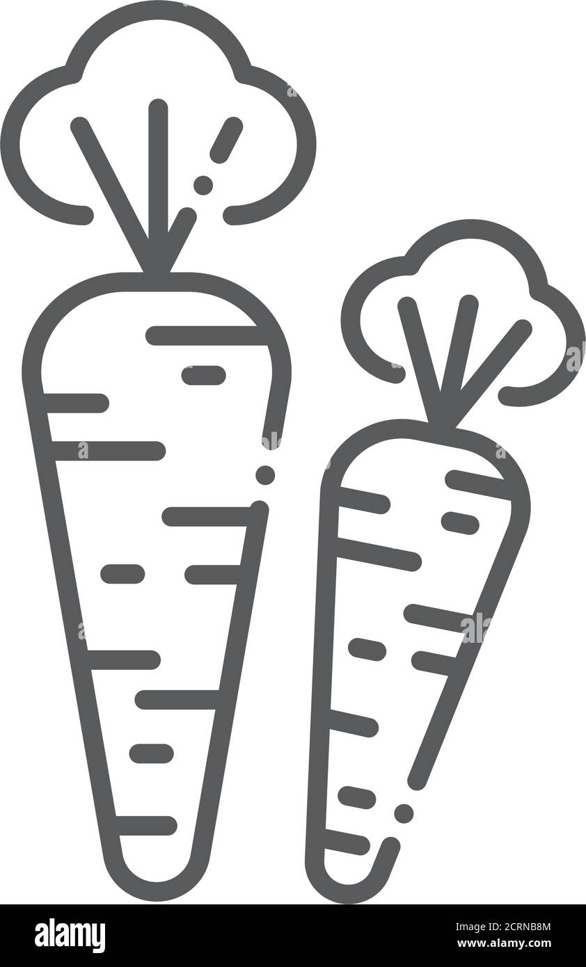 Icône de ligne noire de carotte. Légumes naturels. Concept alimentaire sain et biologique. Ingrédient de cuisson. Pictogramme pour page Web, application mobile, Promo. INTERFACE UTILISATEUR UTILISATEUR UX Illustration de Vecteur