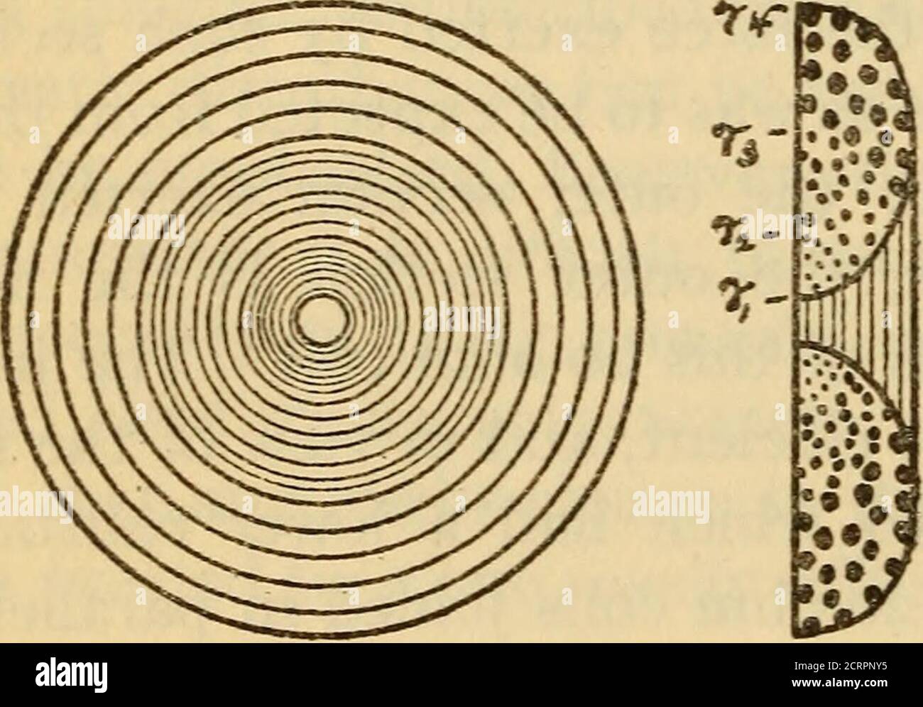 . Tests de sensibilité et de blindage magnétique d'un galvanomètre Thomson pour utilisation en radiométrie . de deux types,produisant des bobines du coffrage illustré à la Fig. 1, qui a showsa bobine composée enroulé en trois sections de fil gradué.Mandrel XO. 2 a été essayé pour déterminer si un markefdiment résulterait dans le champ magnétique près des aiguilles du galvanomètre. En utilisant des fils fins pour la section intérieure de la bobine, ce formede bobinage (mandrin n° 2) a été trouvé pour être préjudiciable.dans les bobines à décrire actuellement l'isolation était asingle couche de soie, exceptingdans la bobine de 0.6 ohms, qui a été couvert d'un doute Banque D'Images