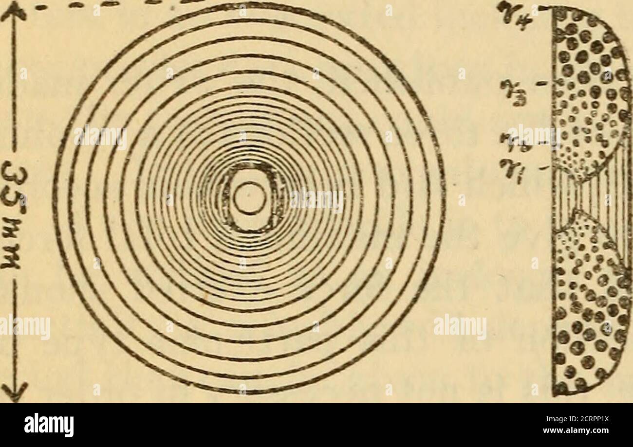 . Tests de sensibilité et de blindage magnétique d'un galvanomètre Thomson pour une utilisation en radiométrie . a été possible avec ces bobines de 20 ohms jointes en parallèle, il a été jugé souhaitable de déterminer si (sans procéder à une investigation prolongée) une bobine efficace peut être trouvée par essai, qui a les propriétés des sections centrale et extérieure de la bobine de 20 ohms. Comme il est bien connu et comme cela a été mentionné dans un papier prévidant,6 en raison des difficultés d'enroulement des fils fins et en raison de la grande quantité d'espace occupé par l'insulationlors de l'utilisation de fils fins, une bobine galvanometéeris plus sensible de 4 ohms à Banque D'Images