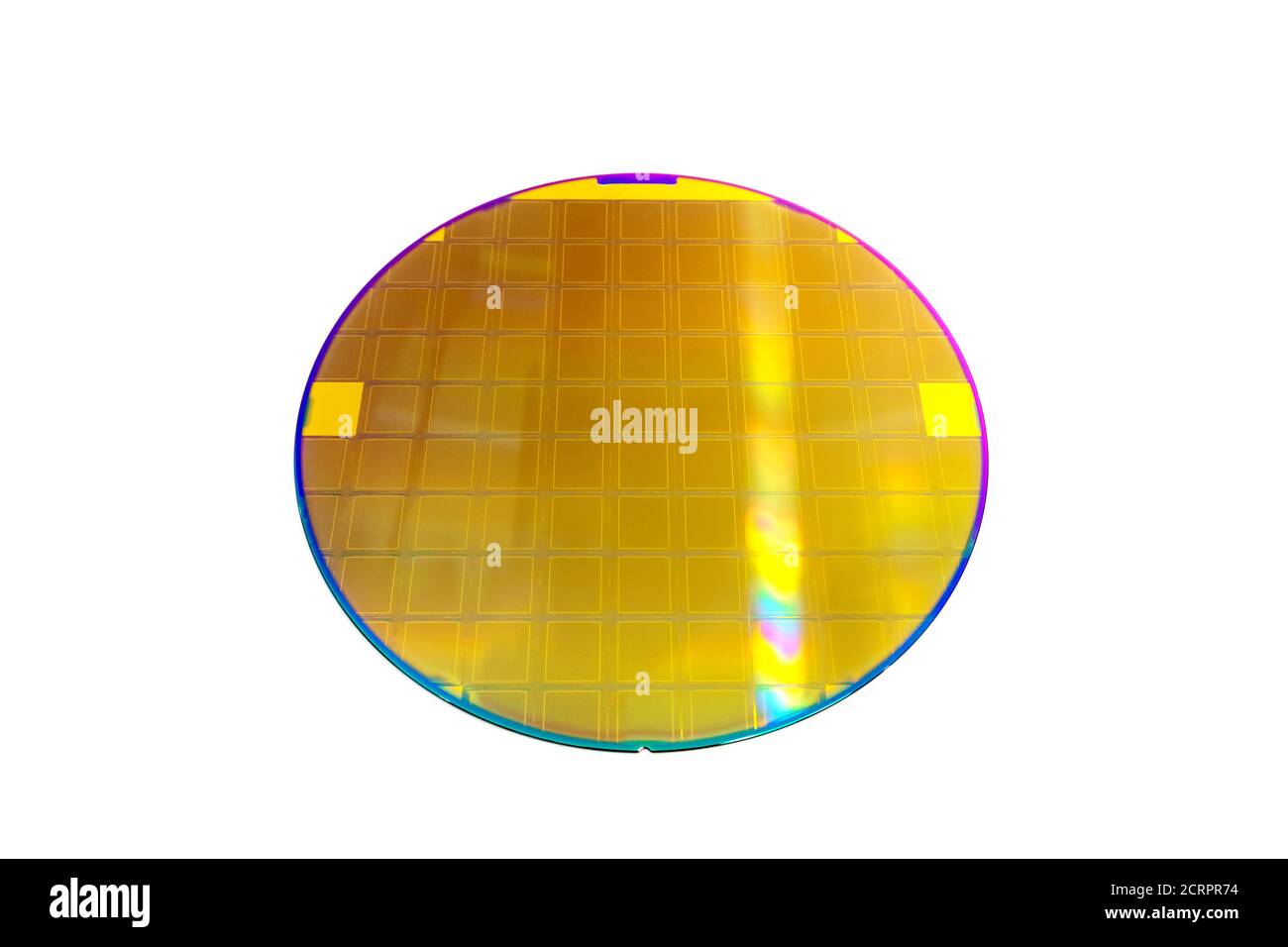 Galette de silicium de couleur or avec traitement de circuit isolé sur fond blanc. Banque D'Images