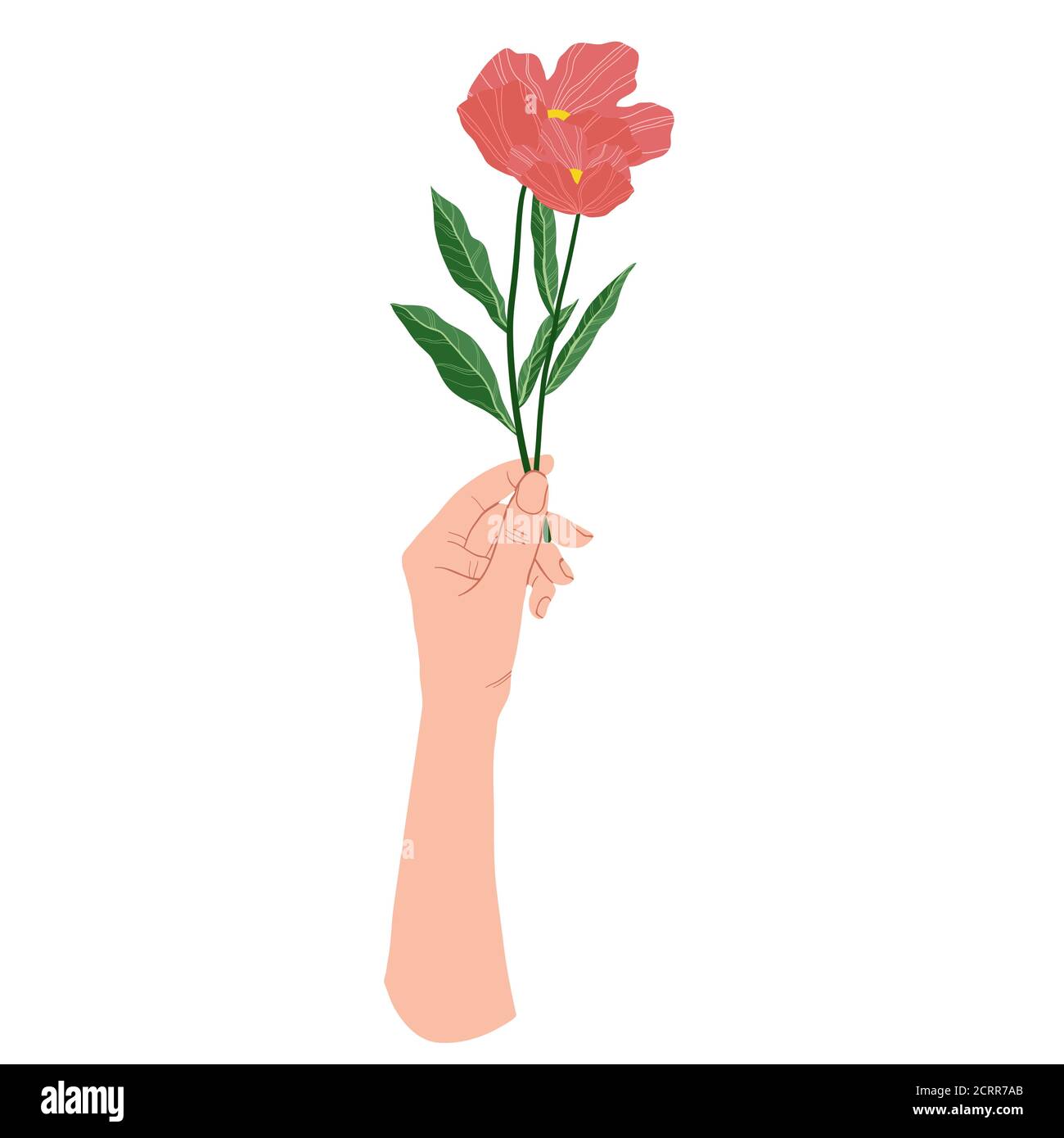 Main tenant une fleur rose. Fleur dans le palmier. Motif vectoriel plat de style dessin animé. Isolé sur fond blanc. Illustration de Vecteur