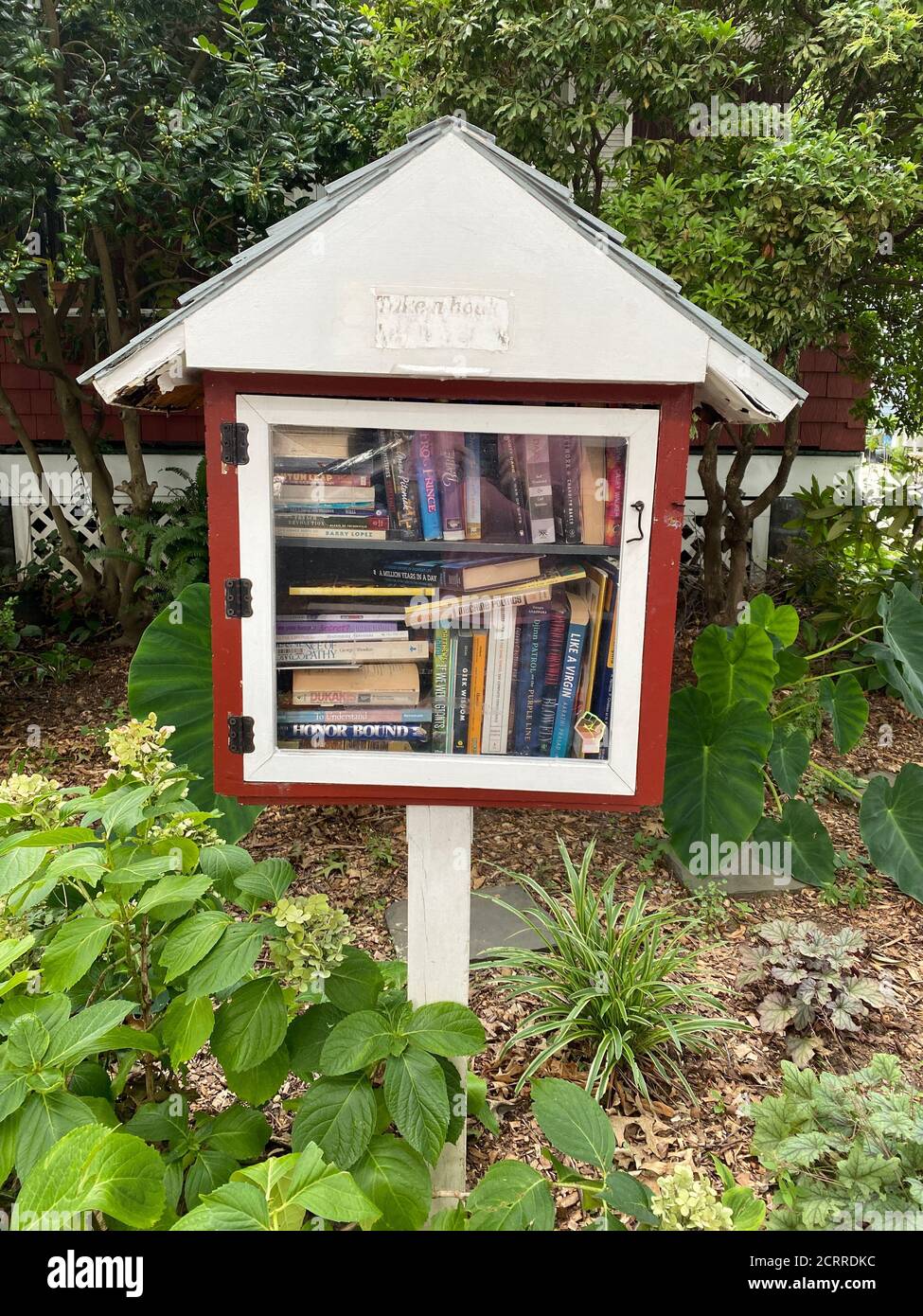 Armoire à livres gratuite Banque de photographies et d'images à haute  résolution - Alamy