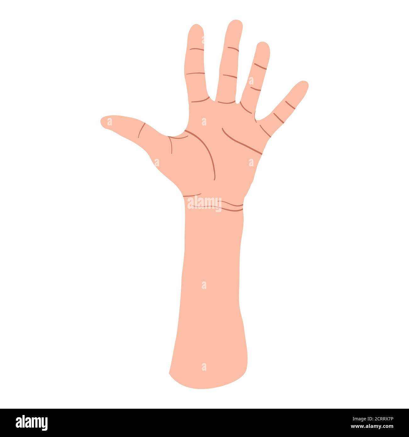 Main montrant cinq doigts, haut cinq signes. Concept des gestes de communication. Motif vectoriel plat de style dessin animé. Isolé sur fond blanc. Illustration de Vecteur