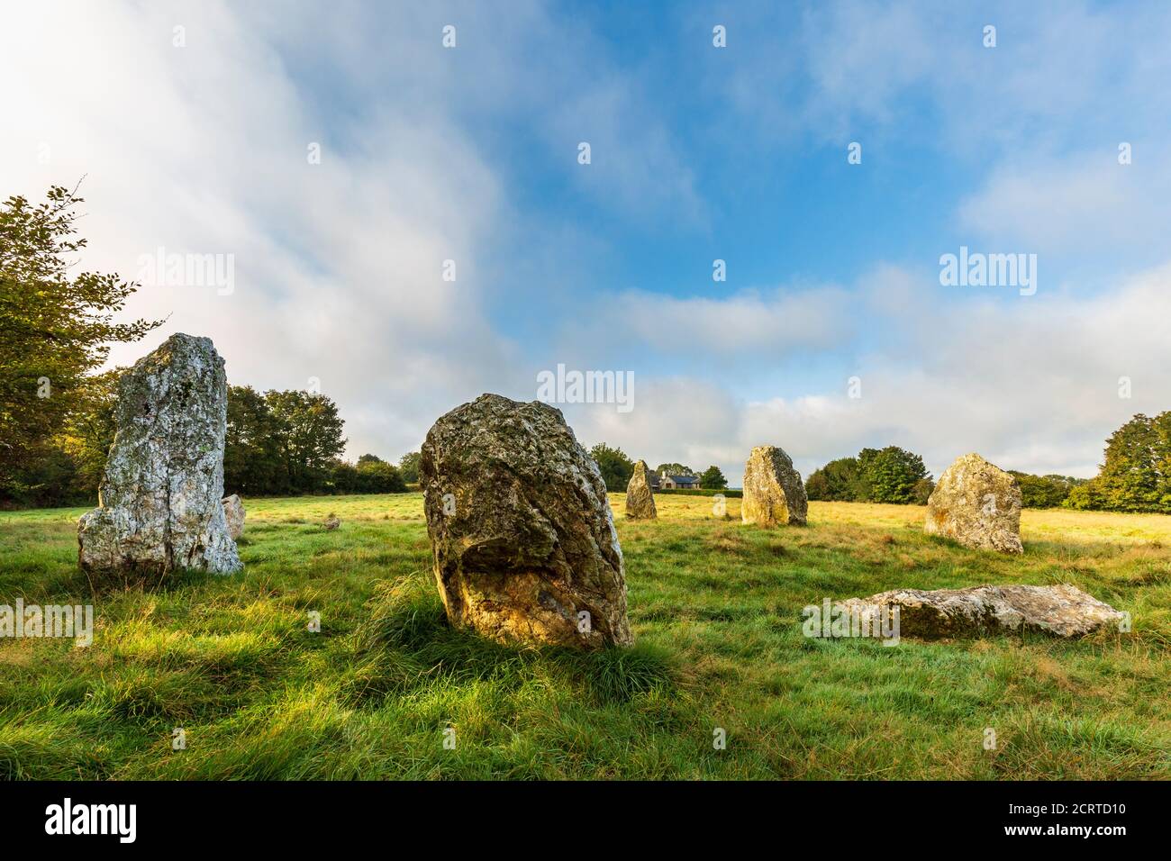 Tôt le matin au cercle de pierres de l'âge de bronze de Duloe, à Cornwall, en Angleterre Banque D'Images