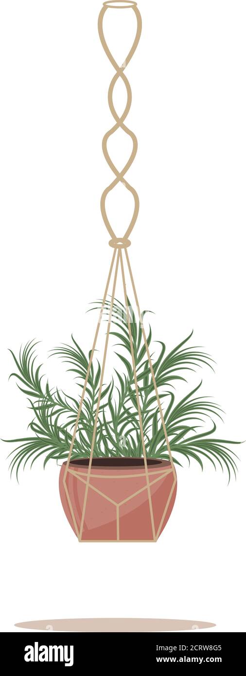plante en pot suspendu. plante d'intérieur suspendue à une corde, plante d' intérieur décorative, 11265017 Art vectoriel chez Vecteezy