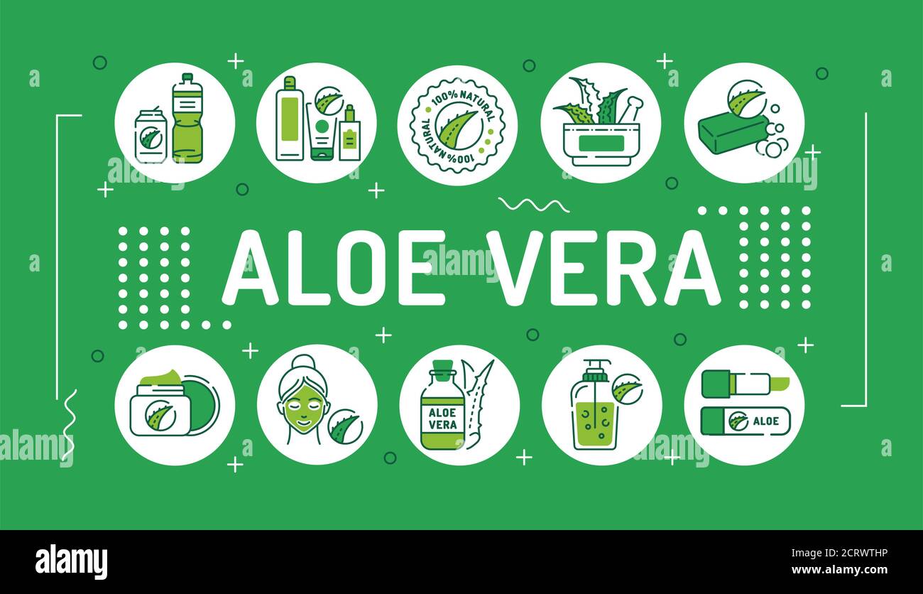 Typographie de lettrage d'aloe vera. Produits de soin avec extrait d'aloès pour le visage et le corps. Soin de la peau. Cosmétiques. Infographies avec icônes linéaires en vert Illustration de Vecteur