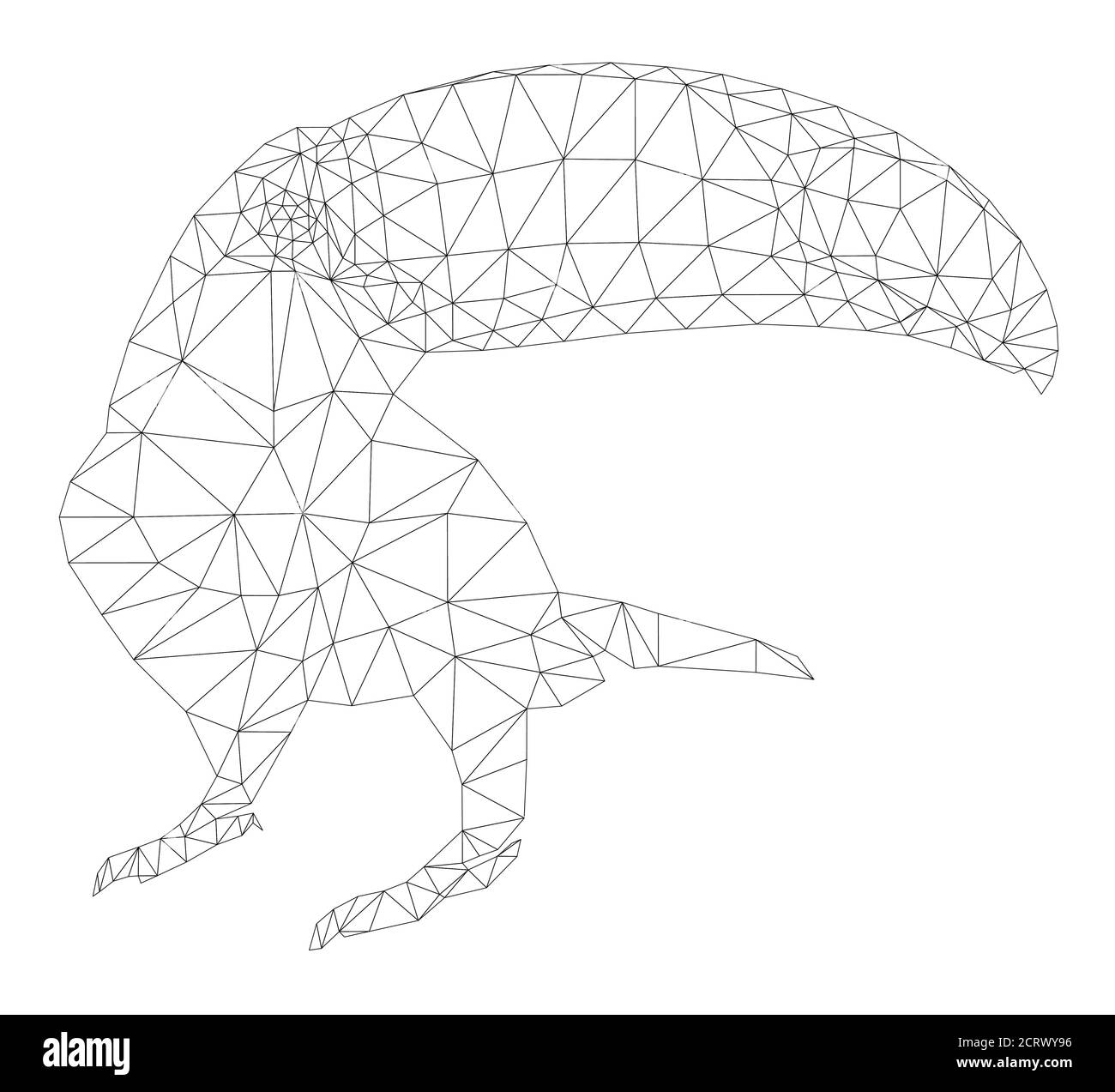 Squelette vectoriel de toucan, Low Poly, Polygonal illustration sur fond blanc . Illustration de Vecteur