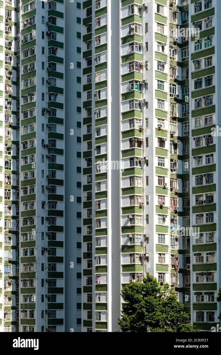 Gratte-ciel immeubles d'appartements, immobilier résidentiel, HongKong - Banque D'Images