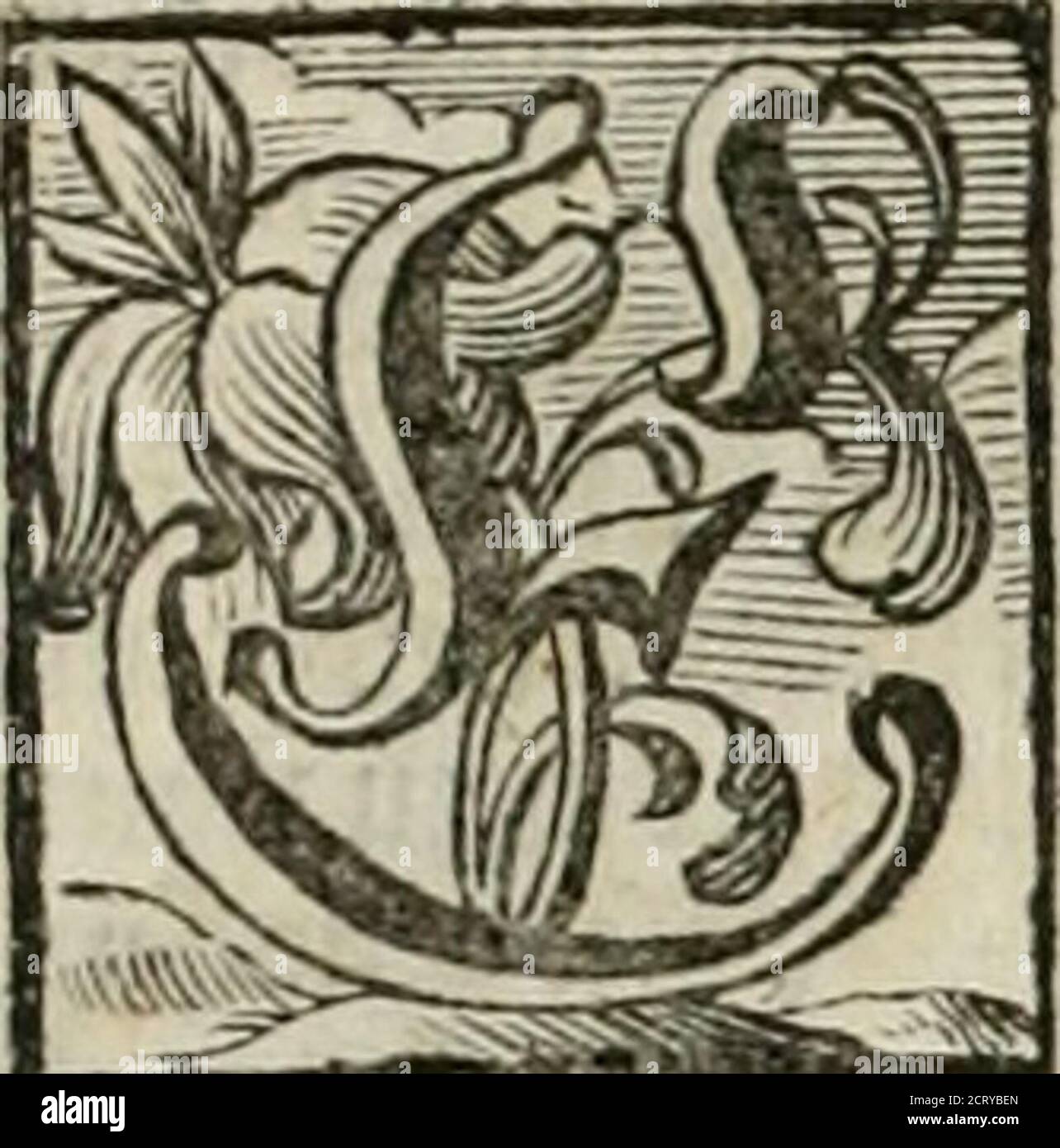 . Huy ! Et Pfuy ! Étrépointe. Huy, óder Anfrischung zu Allen schönen Tugenden: Pfuy oder Abschreckung von Allen schändlichen Laterr: Durch underschiedliche sittliche concept, Historien, und Fabeln vingestellt .. . Ienf(b/in bir/ nacb feinem «öilb gemacht? @tür jt bic^ beö ®lü(f eö 9]bei / unb falfcfier ® önner (gemein ? ©etrpjl! bu ge^fl unbfallfl in ®Otteö J^anb hinein.. 3nict&gt;ermct§/werimt)tt?tc/ unöwa^MelcrQJogelif?/ ^uma^»len ermcmficn^ cinSnnwo^ncr M ^dufcrifl/ unManent).M of)m (5^rabfcf)neibung J^attwo^bunbegb^bunbegen/Bunbeg (Bunbeg) Banque D'Images