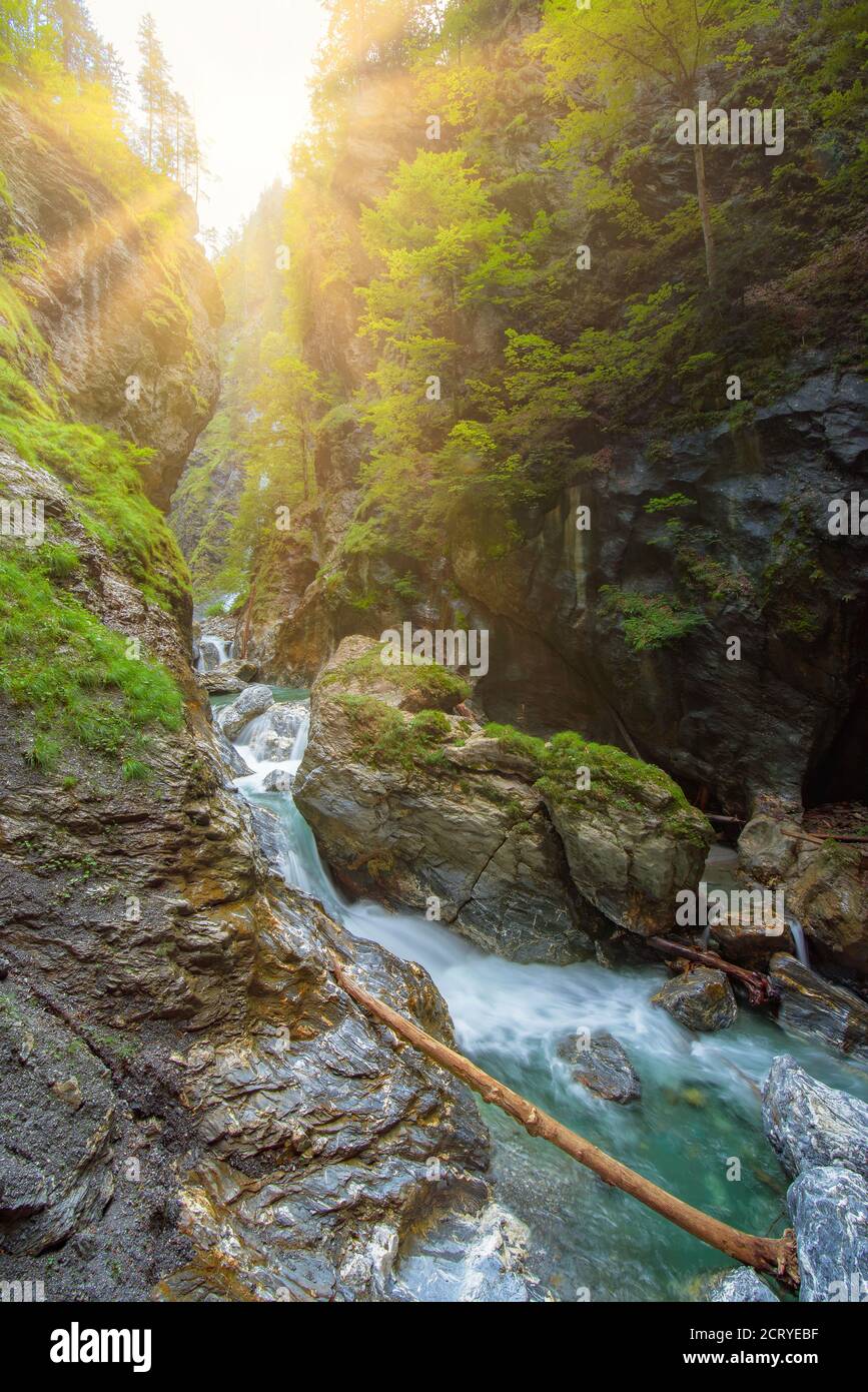 canyon du liechtenstein dans les Alpes austro-australiennes. Des cascades naturelles célèbres, des rochers géants et un incroyable canyon dans la région du Salzburger Land. ESCALIERS EN HÉLICE dans ce p Banque D'Images