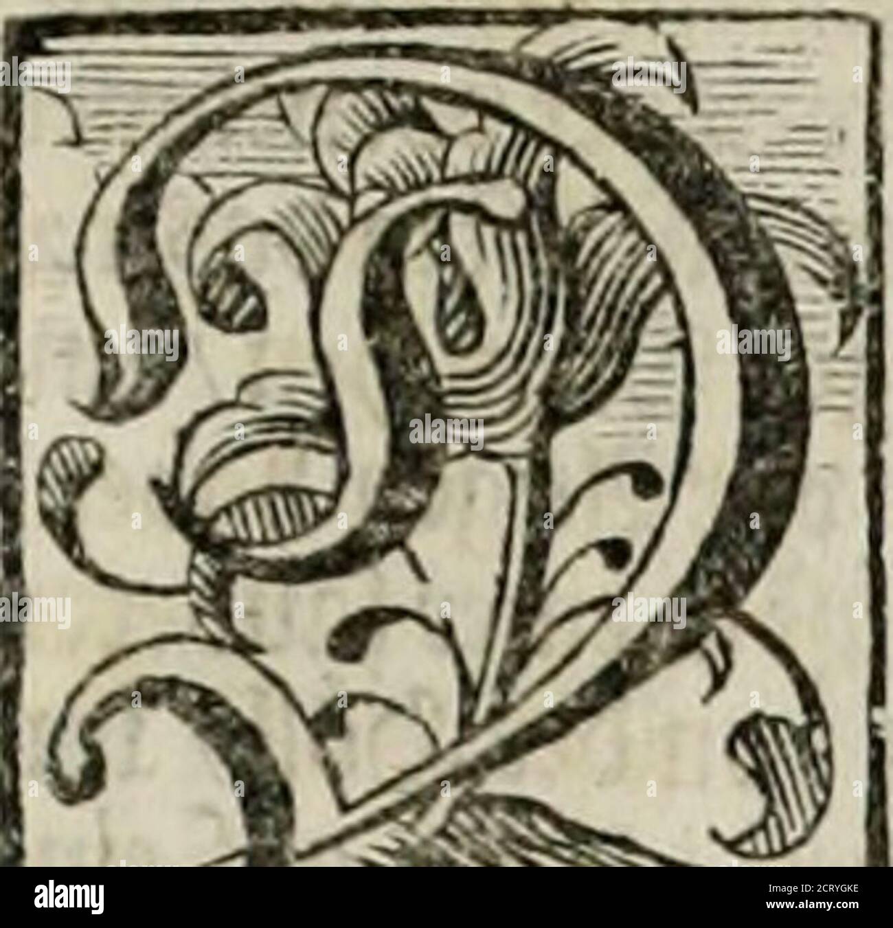 . Huy ! Et Pfuy ! Étrépointe. Huy, óder Anfrischung zu Allen schönen Tugenden: Pfuy oder Abschreckung von Allen schändlichen Laterr: Durch underschiedliche sittliche concept, Historien, und Fabeln vingestellt .. . ufUit 3c!Bütlcn 1)1 pour y compris al^ctnc^ilbnu^/ unb^eflej^etfolcbtnraul)cn®cburgen/ f)of)cn@temfippcn/ vjerwacbfenen^b^^«wern / in ©ebufc^föföfra / föberbeo / föberbei / föberbei / föbekra / klnen / klnen / Klnen / Klnen / Klnen / Klvt / Klvt / Klvt / Klvt / Klvt / Klvt / Klvt / Klvt / Klvt / Klvt / Klvt / Klvt / Klvt / Klvt / Klvt / Klvt / Klvt / Klvt / Klvt / Banque D'Images