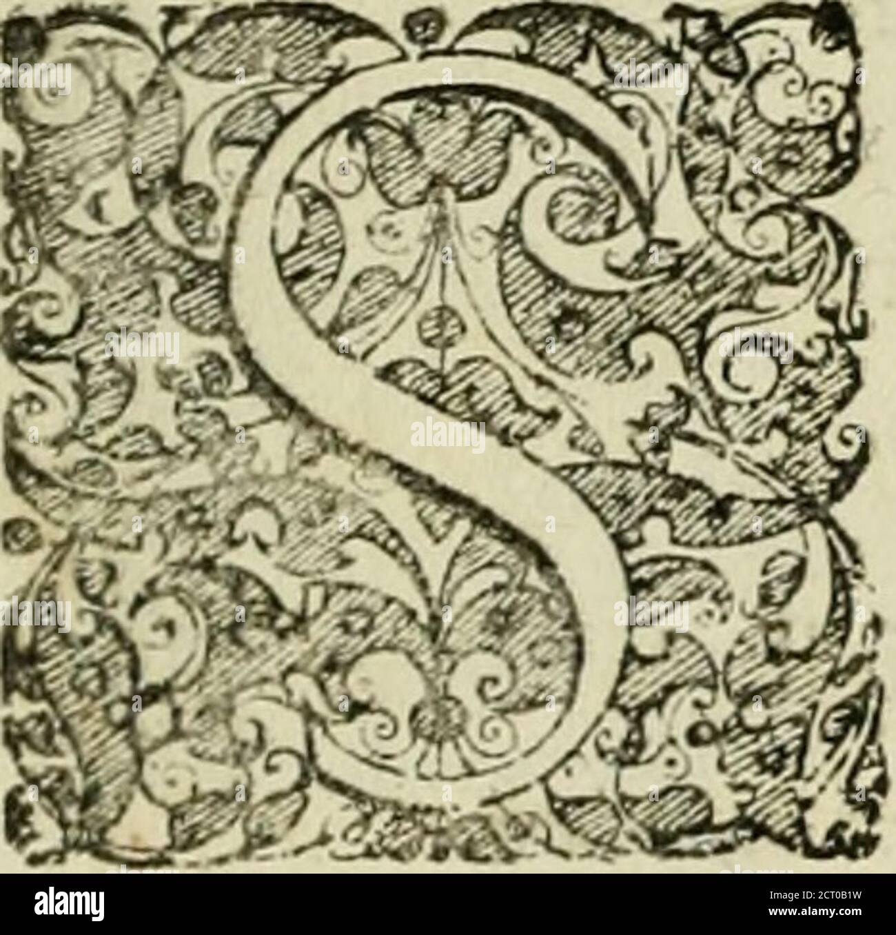 . Matrices natalis serenissimi infantis et principis Boiorum, Maximiliana Emanuelis favoribus sanctuum, heroum crepundiis, et votis Patrum S.I. coronatus : in solennnibus baptismalibus . Olem yclutfoliumunicumj, orbts olum d ^oma?i^B9loquentii^ paremc nuncupatum effe, jwtal.nt Lattantifus, U(c immerito,ut d quojojojojojojolo lux m orhemuniyersumfluit^ ejo- reliquajua in lumata di, Japt^u rta di, Jocturta di kutcira di, Jo^u krta krta di, Jo^u krta di an rta, Jo di an rta di, Jo di krta di an rta, Jo, Jo, Jo, Jo di krta di krta, Jo, Klípta, Jo, Jo, Klípta, Klípta, Klípta, Klípta, Klípta Banque D'Images