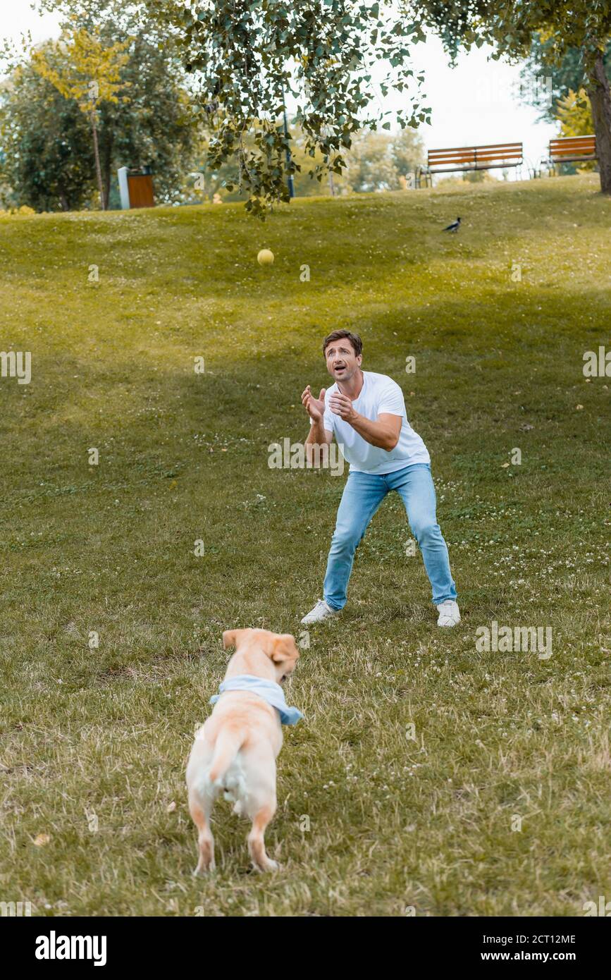 homme en t-shirt blanc et jeans lancer dans air ball presque golden retriever Banque D'Images