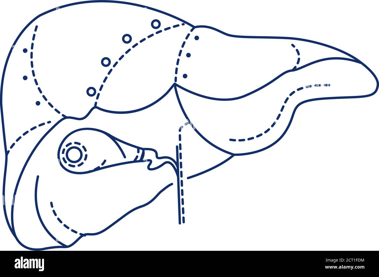 Icône de la ligne noire bio-artificielle du foie. Dispositif de soutien pour une personne qui souffre d'une insuffisance hépatique aiguë. Pictogramme pour page Web, mobile Illustration de Vecteur