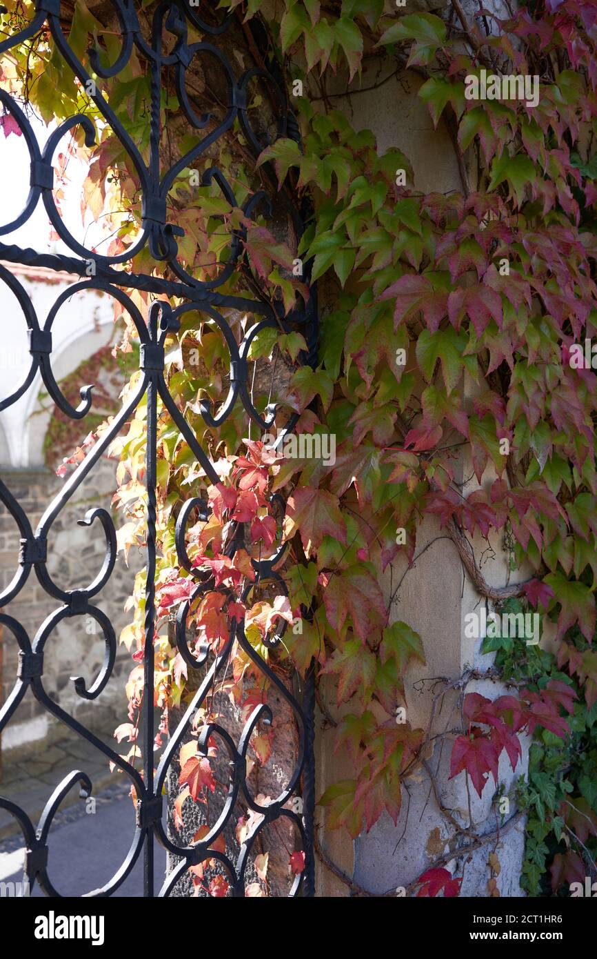 20-09-11 la porte du château reliant la route avec un jardin, un vignoble, etc Banque D'Images