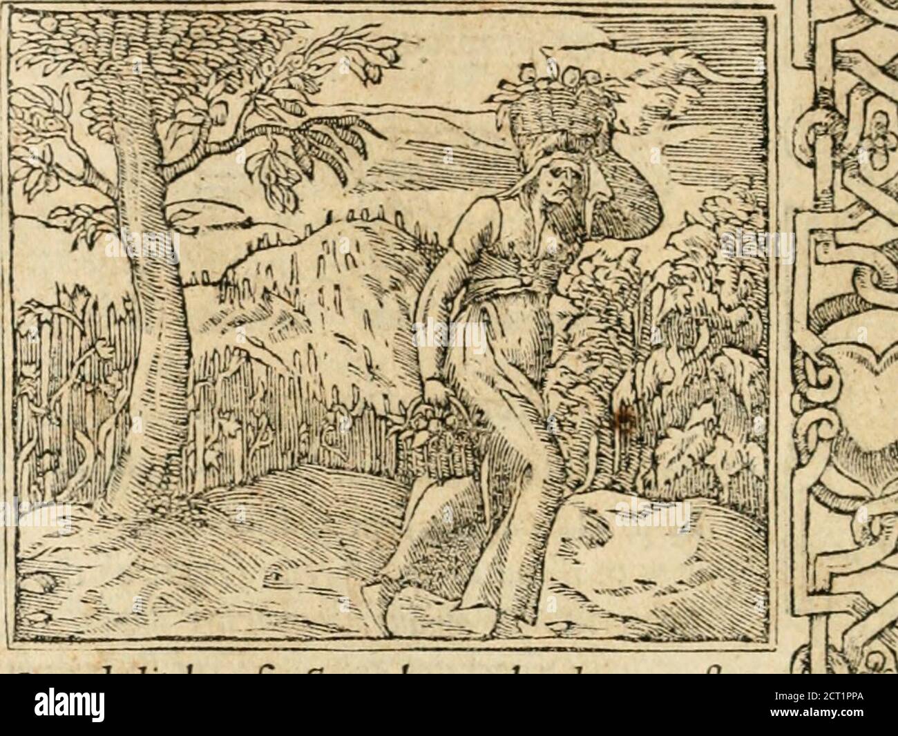 . Emblemata Andreae Alciati, iurisconsulti clarissimi . ¥$Z Albutij ad Alciatum,fuadentis vtde tumultibus Italicis fefubducat:& in Galliaprofitetur. Qu^dedit hos fruttut & lt;trbor,c<xlo aduena nof.ro, Venitab Eoo Vcrfidis axc priu*:TransUtufhtfo efl melior.qus: Noxia cfuondam in patria:hic nobis dulcia ptoma gcrit*:TransUtufhtcuima di uftus, tapcias di ufóra di ufías. 4Jte& - ii^iyt: ^ARK^yai!.- Z(? ■< -FA-:,-. v ■■ g /■ v ^-•■-/ ■. 5r^3»A ^kW^ ■■.:•:■-. -- ■•: S/r;^^■ Ji^E 1 Banque D'Images