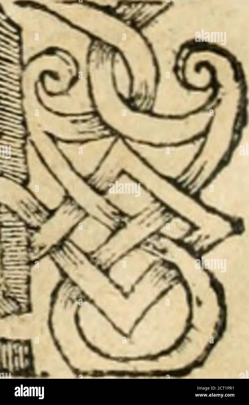 . Emblemata Andreae Alciati, iurisconsulti clarissimi . Qu^dedit hos fruttut & lt;trbor,c<xlo aduena nof.ro, Venitab Eoo Vcrfidis axc priu*:TransUtufhtfo efl melior.qus: Noxia cfuondam in patria:hic nobis dulcia ptoma gcrit*:TransUtufhtcuima di uftus, tapcias di ufóra di ufías. 4Jte& - ii^iyt: ^ARK^yai!.- Z(? ■< -FA-:,-. v ■■ g /■ v ^-•■-/ ■. 5r^3»A ^kW^ ■■.:•:■-. -- ■•: S/r;^^■ Ji^E 1 DIC-r. PRINCEP & n Banque D'Images