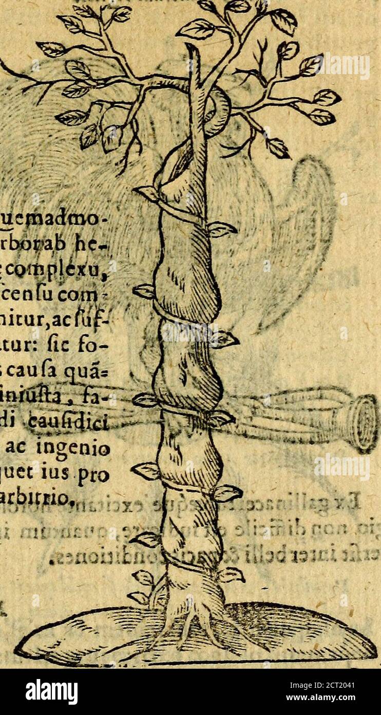 Symbola Heroica Ioa Lt Refertdion Anulo Figillatorio Pompcijinfcolpta Fuifle Trophaea Tria Quemarimo Dura Syllano Q Od Haud Dubie Sym Bolum Prsecipuorum Vtriufq Geftorum Rao Centum Prastendiu Imprc H E R O I C A Qucpiadmo Et