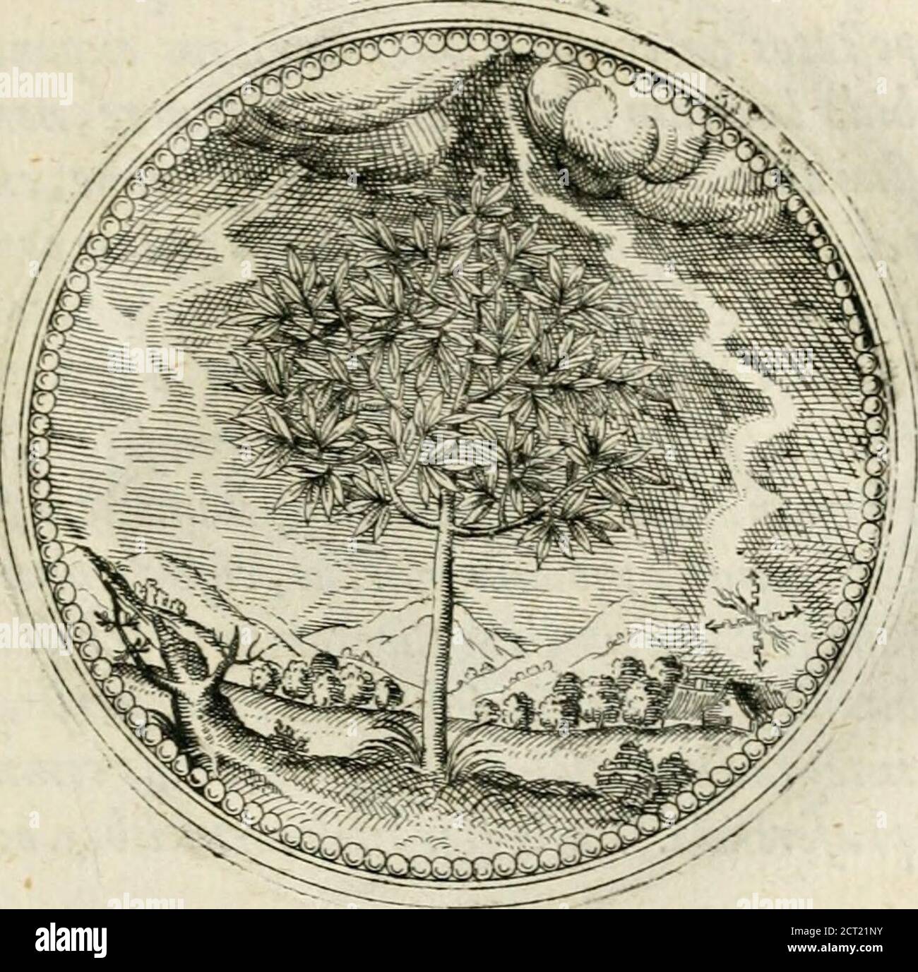 . Symbolorvm & emematvm ex re herbaria desvmtorvm centvria vna . temeredefcifcant,et nos amare defnTtt. ,^odPhocion tllcffiensCrjicm apudStohmm nos facerejtihet, ^h7«h et gt; inquit, cTeiKgct ocVcTgot K^ 7i&gt;tvo(. K5^ 4&gt;iAKcf t«V vCJ/ thv d-mMoc^HV tVSfis im.g^^L^imm^ idesi, ,^£rendos effe virtim & liheros amicos, qui adexitum Vita vsque contes fermanant.^ud omnia eruritinata di furigotifatti, Arcofías, Arrigolo di fálco di fíncimata di atifra di atus, edicimata, edifíncigfra di atifra di exhizina, edicimata di atifra di atifra di atifra di atifra di atifra di atifra di ahikatta, edifra di atifra di Banque D'Images