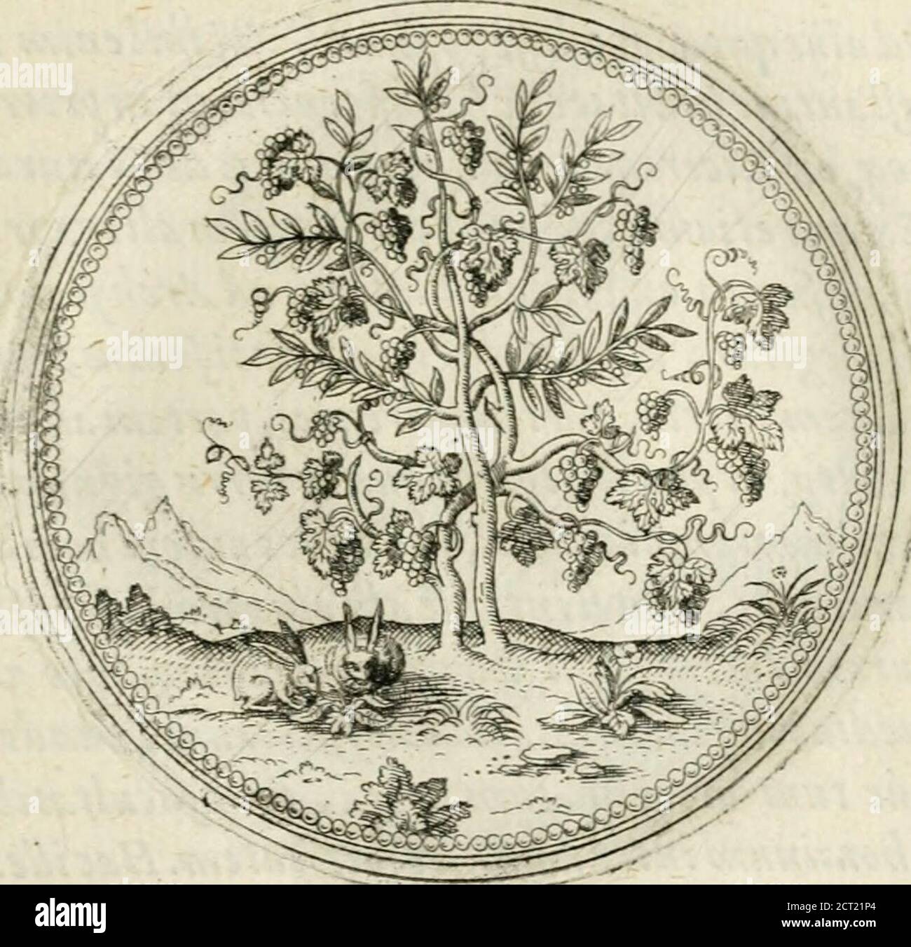 . Symbolorvm & emematvm ex re herbaria desvmtorvm centvria vna . fruttcem in Arabiafeliciproprie nuncettamnafti, ac inde in A.gjpttim ac Iti-ddiam per tranfattim ejfe, ac qtii veltnt, legjpffe-miifici et quircr. Ex hocftttticeliquor ie nobtlift. (Ctijtisportitinculaquoq^ adnos mitteredignattisesi) vulnerato velfcarificato cortice in ^ftate dcftilatyC^ hodieetiam in Rgjpto ilUtis magntis vfiis eli adomnie vtdnera ac vlcera dijficfia dijficillacta acfordtajda, retftostlejda^ftostlejda. Document hoc Emhlemate de mtt-tuainterhominespr&ftanda beneuoletiaacpromt Banque D'Images