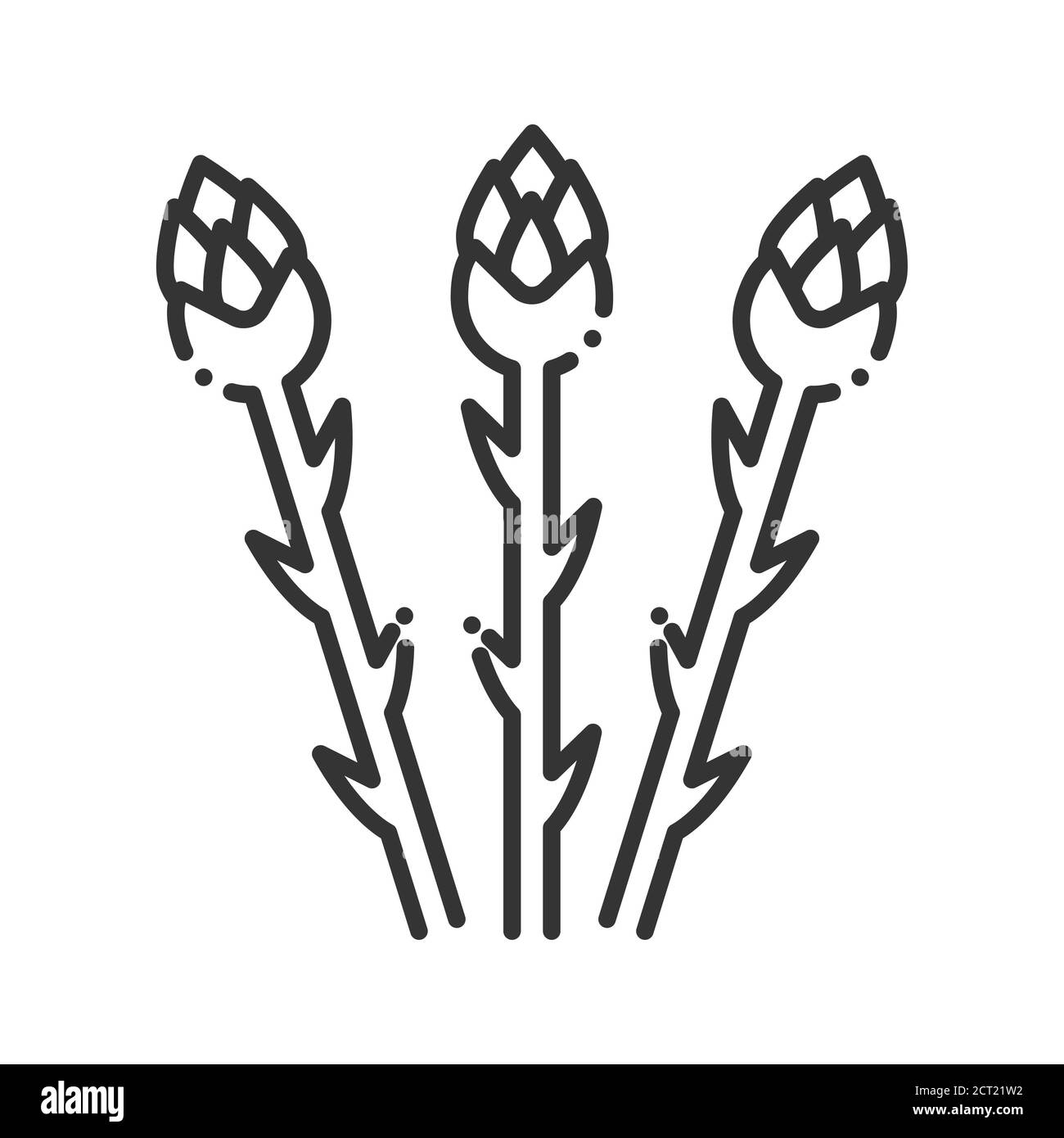 Icône de ligne noire d'asperge. Une alimentation saine. Légumes bio naturels végétaliens. Pictogramme pour page Web, application mobile, Promo. Élément de conception UI UX GUI. Banque D'Images