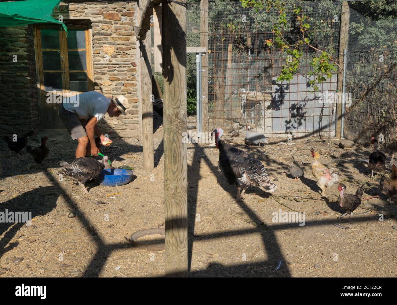 Fermier nourrissant des animaux et triant des amandes dans une ferme dans les montagnes Alpujarra, Sierra Nevada, près de Grenade, Espagne, Europe Banque D'Images