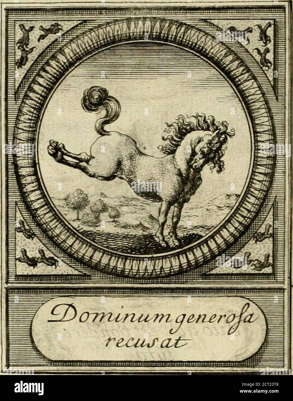 . De l'art des dispositifs . XLIV. Les Horloges à pendules font fi juftes quonprétend avoir déjà été débrodés par leur juftefle, de ùïii galitc au mouvement du Soleil. Cettemachine eft de linvention de moniteur Hu-gens de Zulichen , a. quiauffi bien quà fa ma-chine fe peut attribuer ce mot tiré de Virgile, RRR 502r DEVISES. XLV. LE Chevaleft le Symbole du Royaume de Naples, le Leptel de fourrure le Boccalini, à écrie daf-fez bon mots. Mais il nen un point écrit, quivaille celuv-cy, qui eft dOvide, appliqué à cecceCavale fans hors & fans bride, mife glacé pourla République des Suiftes. À D O P T EE S. SOS Banque D'Images