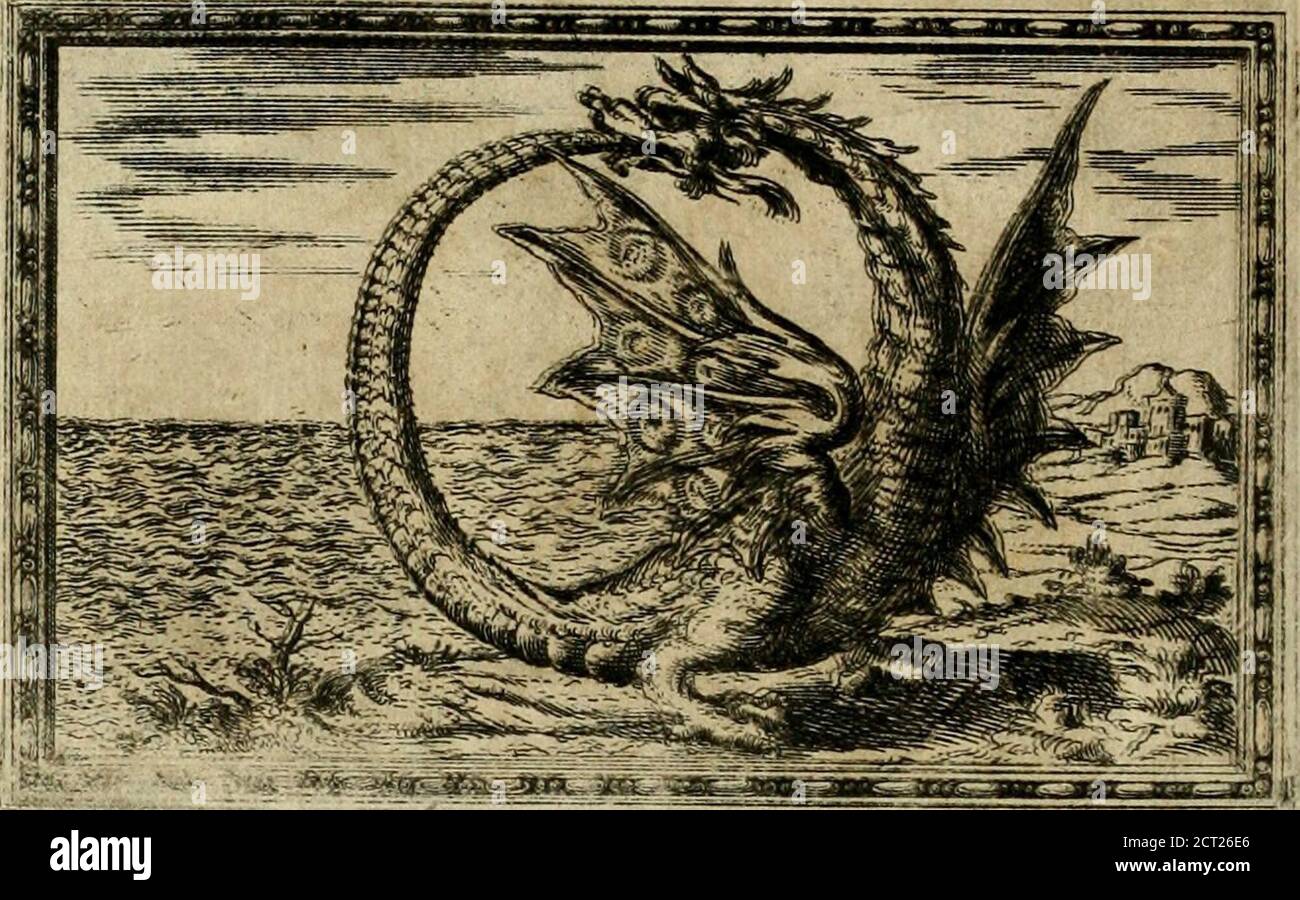 . Delle allvsioni, imprese, et emblemi del SIG. Principio Fabricii da Teramo sopra la vita, opere, et attioni di Gregorio XIII pontefice massimo, libri VI : nei quali sotto l'allegoria del drago, arme del detto pontefice, si descriue anco la uera forma d'un principe Christiano .. . i , iterna-rumq; rerum arci-ila, & difficile fi-•-T2 fcripreurs Ioco5cTponece.ui-latumq; fìdei d:;-Tblucrucre nodos, at(j-nouaj condcrc les-ges. Cex. In e. fune|iiiidani-Latumq; acdurillìmun rnidii, idii, idii, idii, at. Acterniatis pra>miuni non^mcu- Aecernirati ? IcerRoni.Pont. Banque D'Images