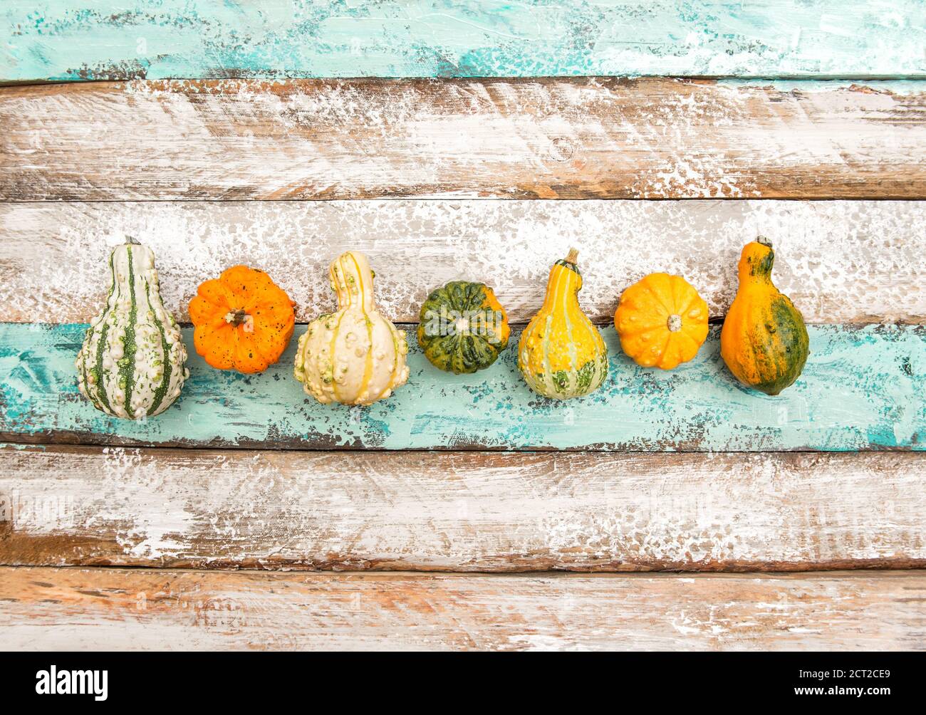Automne. Halloween. Thanksgiving. Citrouille sur fond en bois Banque D'Images