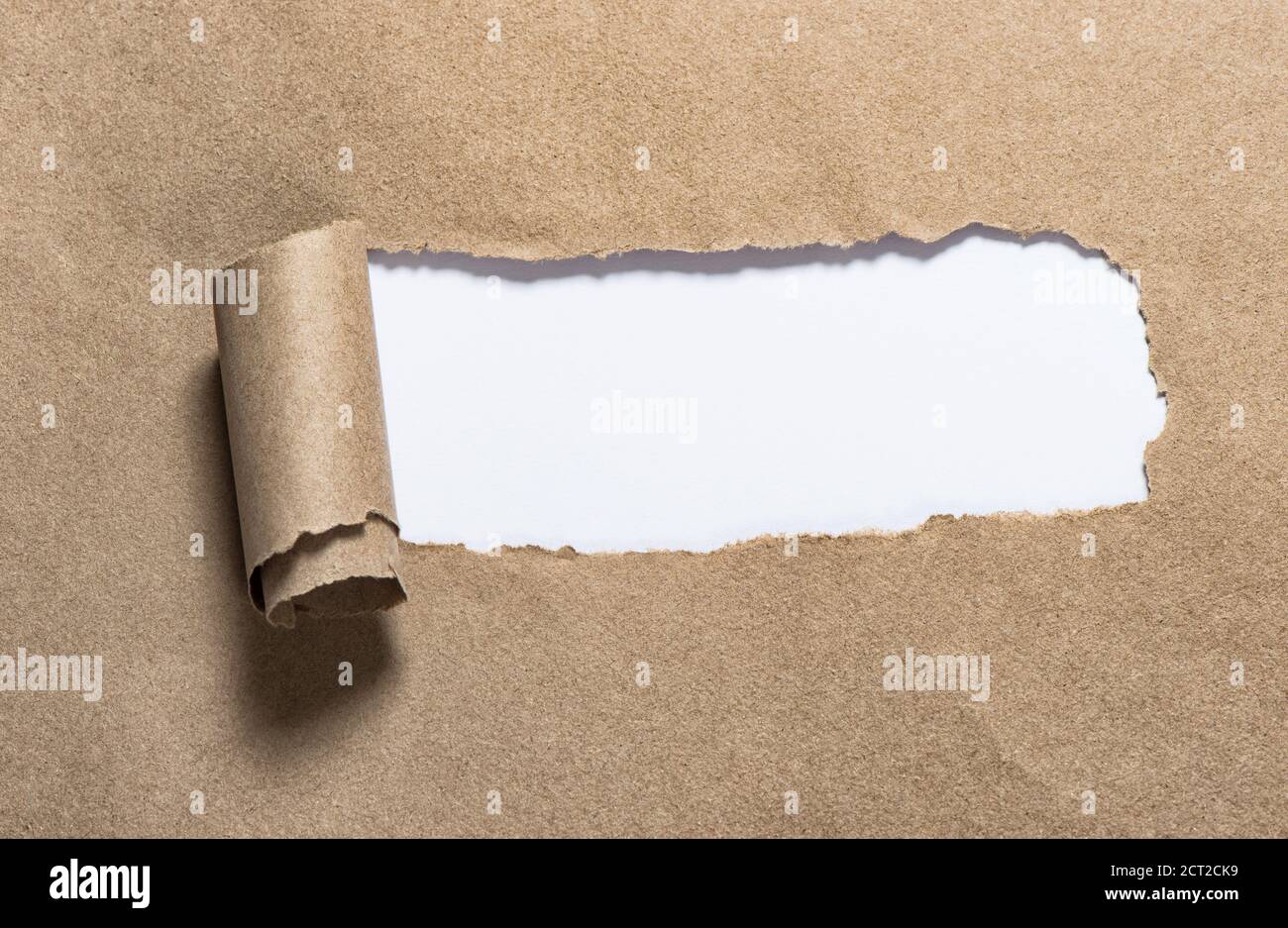 Bande de papier déchirée avec espace de copie blanc. Carton déchiré Banque D'Images