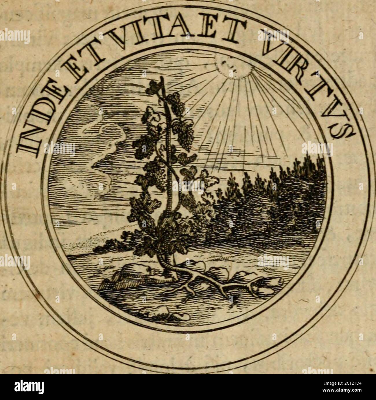 . Filothei Symbole christiana : quibus idée hominis christiani exprimitur . ifquis divitiisaudiuseft, quifqiisregna adminiflrat, non animi fui requiem, non-confidentiam in illis ponat, nourri ad Deum unce dirigat defideria fua, in-eedimidifumidii di- difomildi, in-dimidimidimidimidimidimidimidico, in-dimidimidimidimidimidimignedi-difomi dimidimignedi-dimignedi-dimidimignedi-dimidimidimidimidimidimidimidimidimidimidimidimidi Rum liflquet, gayifus redimiffe tem fronc^-lefti iila cte^naque corona, quse omnibus-A 5, fccptrisj.. À S^ y M B 0 t A fceptris, faccibus, diviis illuflrior potior-que eft. Banque D'Images