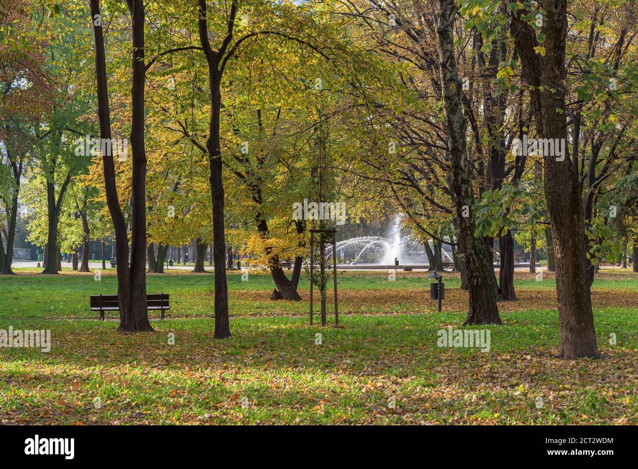 Vue d'automne de la fontaine du parc Swietokrzyski à Varsovie, Pologne Banque D'Images