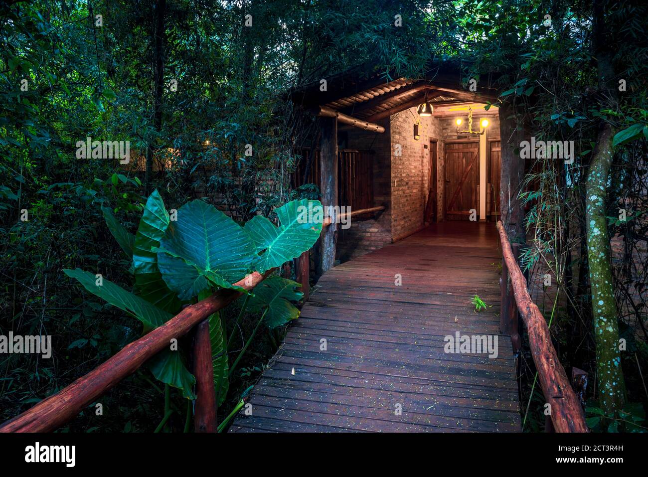 Chambre cabane refuge logement forêt tropicale près des chutes d'Iguazu, Puerto Iguazu, province de Misiones, Argentine, Amérique du Sud Banque D'Images