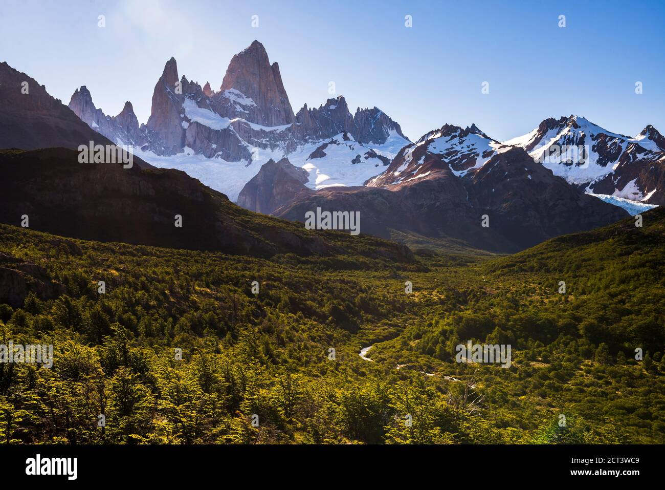 mont-fitz-roy-alias-cerro-chalten-parc-national-de-los-glaciares-el-chalten-patagonie-argentine-amerique-du-sud-2ct3wc9.jpg